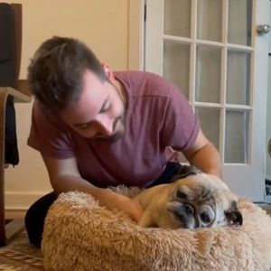 Meet your Posher, Bennett